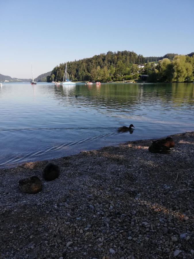 Feichtingerbauer Apartman Fuschl am See Kültér fotó