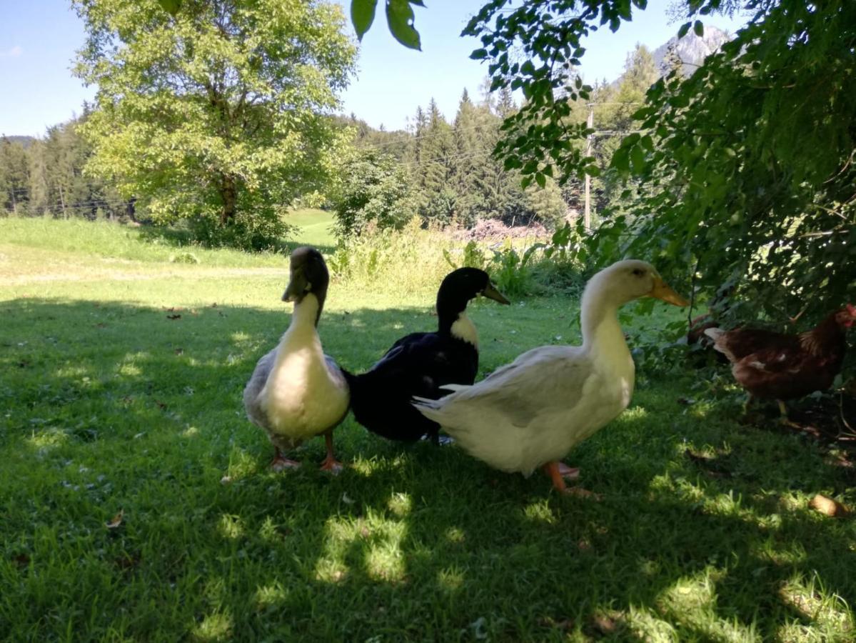 Feichtingerbauer Apartman Fuschl am See Kültér fotó